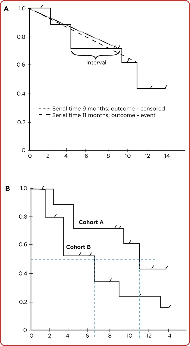 Kaplan-Meier survival curve showing stepwise decline in survival probability over time