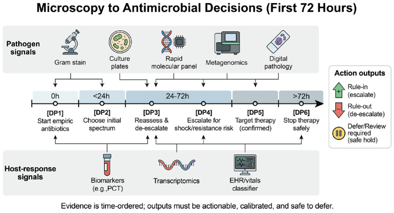 Timeline of pathogen evidence and host-response biomarker availability over the first 72 hours of ICU sepsis, with corresponding antibiotic stewardship actions including escalation, de-escalation, and hold decisions