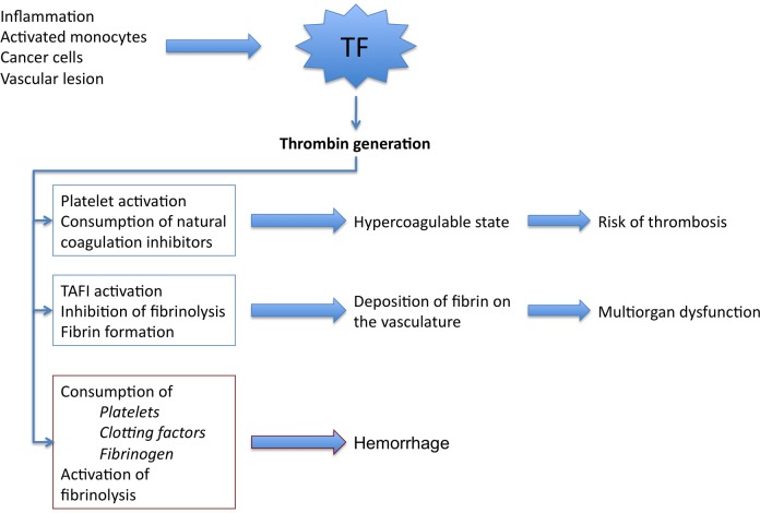Pathophysiology of disseminated intravascular coagulation showing simultaneous activation of coagulation cascade and fibrinolysis leading to microvascular thrombosis and consumptive coagulopathy