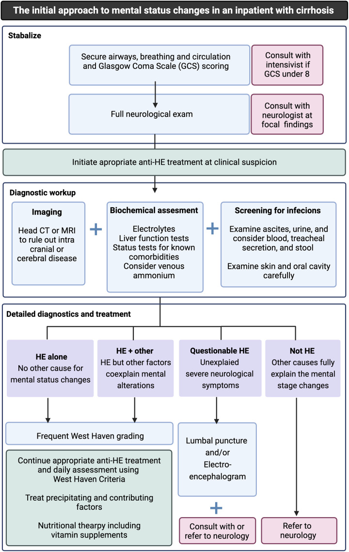 Diagnostic and treatment algorithm for hepatic encephalopathy showing grading assessment, precipitant identification, and stepwise management with lactulose and rifaximin
