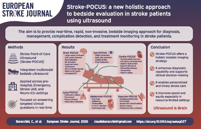 Point-of-care ultrasound framework for acute stroke evaluation integrating cervical, transcranial, cardiac, and vascular assessment