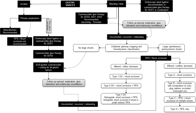 Updated treatment algorithm for gastric varices showing classification-based management from endoscopic therapy through interventional radiology and TIPS