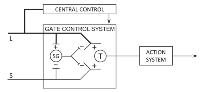 Gate control theory of pain diagram showing A-beta and C fiber interactions at the dorsal horn