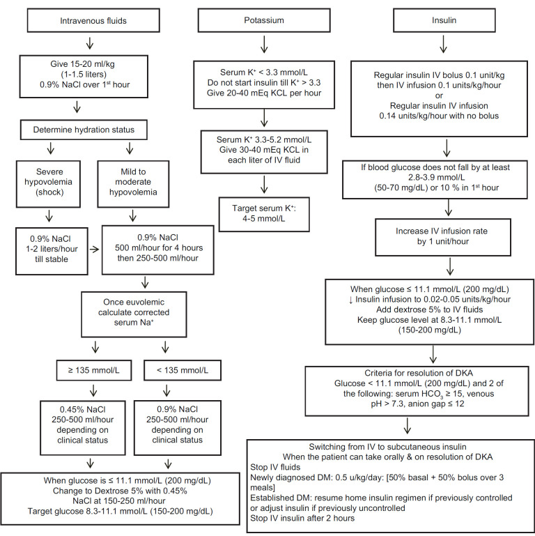 Flowchart showing the management algorithm for diabetic ketoacidosis in adults including fluid resuscitation, insulin therapy, and electrolyte monitoring