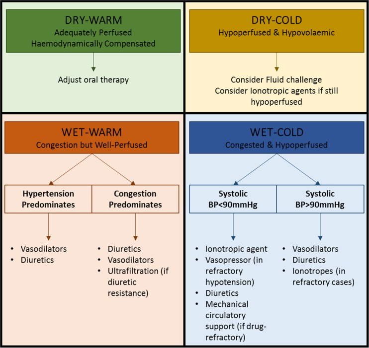 Stevenson hemodynamic classification of acute heart failure showing four profiles based on congestion and perfusion status