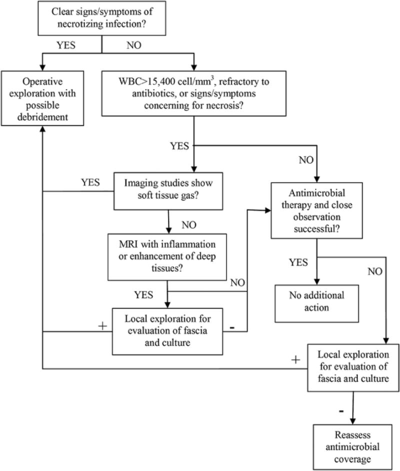 Management algorithm for necrotizing soft tissue infections showing diagnostic workup and treatment pathway