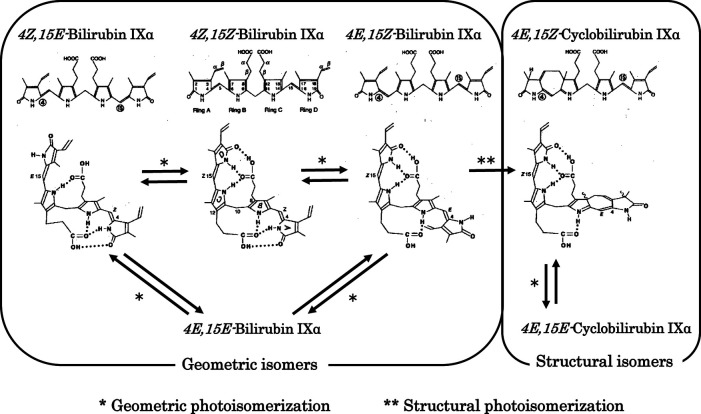 Diagram showing photochemical changes in bilirubin during phototherapy including photoisomerization and lumirubin formation pathways