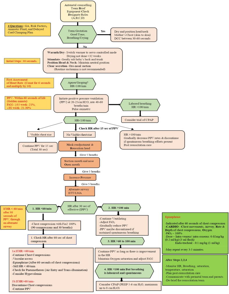Neonatal Resuscitation Program (NRP) algorithm flowchart showing step-by-step delivery room resuscitation with timeline