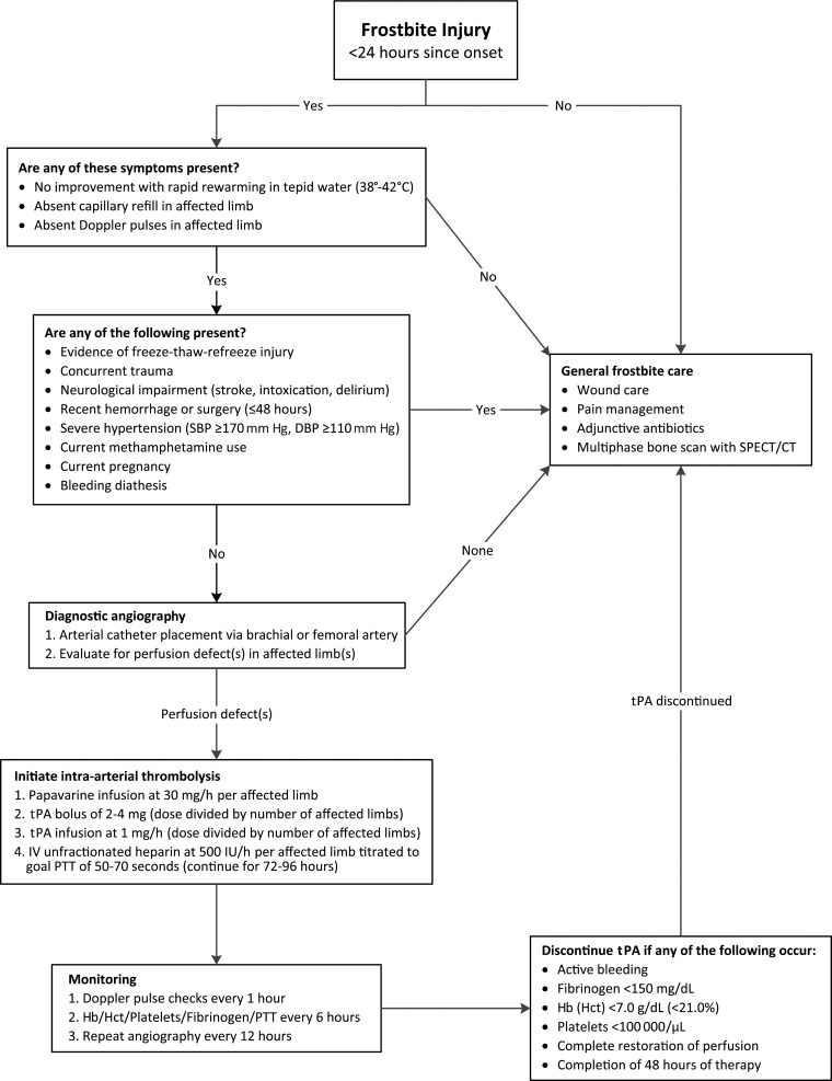 Frostbite grading classification with clinical examples of each severity grade