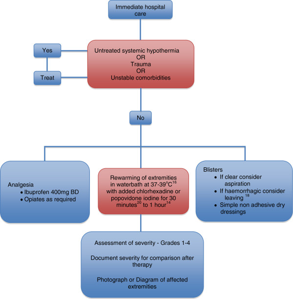 Algorithm for hospital management of frostbite injuries