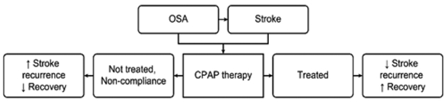 Summary diagram of CPAP therapy outcomes in stroke and OSA patients illustrating effects on neurological recovery, cardiovascular risk reduction, and quality of life improvements
