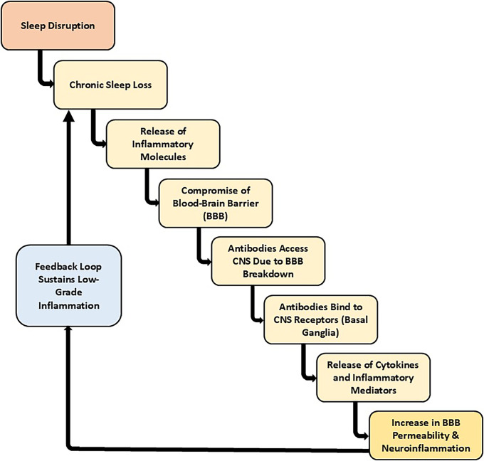 Conceptual pathway diagram illustrating how sleep disruption perpetuates neuroinflammation and blood-brain barrier dysfunction through bidirectional immune-neural signaling