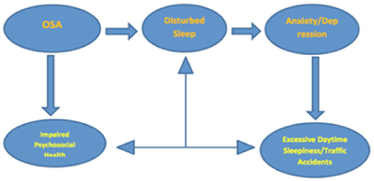Flowchart showing how obstructive sleep apnea causes intermittent hypoxia, sleep fragmentation, and sympathetic activation leading to cardiovascular disease, metabolic dysfunction, and neurocognitive impairment