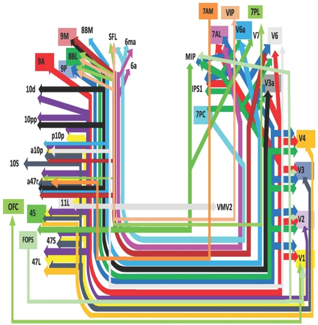 Standard polysomnography montage showing EEG, EOG, chin EMG, airflow, respiratory effort, pulse oximetry, ECG, and leg EMG channel layout during a sleep study