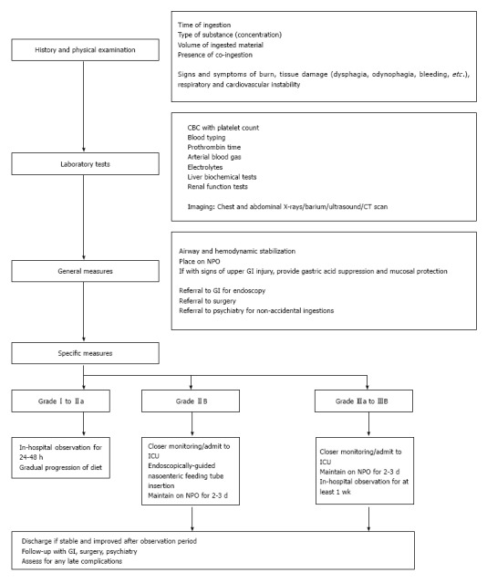 Management algorithm for caustic ingestion showing decision pathway from initial assessment through endoscopy, grading, and disposition