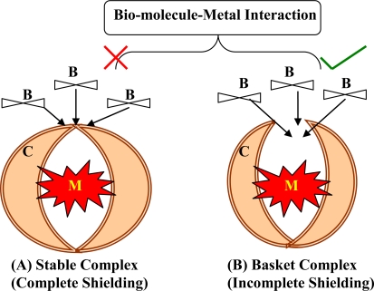Mechanism of chelation therapy showing chelating agent binding to heavy metal ion and forming a water-soluble complex for renal excretion