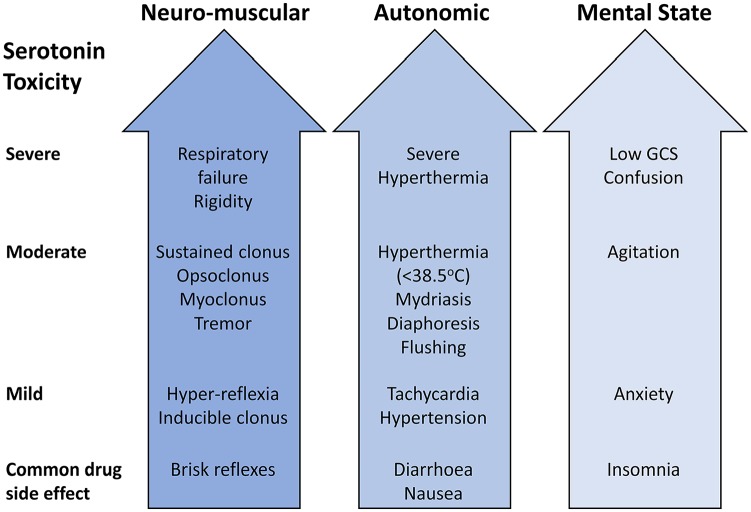 Spectrum of clinical features in serotonin syndrome including neuromuscular excitation, autonomic dysfunction, and altered mental status