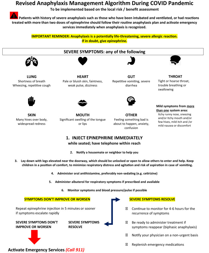 Algorithm flowchart for the management of anaphylaxis showing the sequence of epinephrine administration, positioning, airway management, and adjunctive therapies