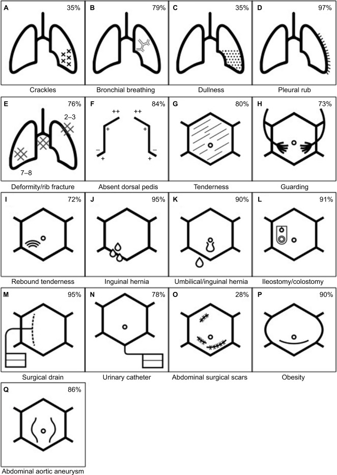 Standardized clinical examination diagrams (Medicons) for medical documentation