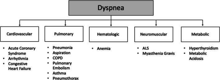 Diagnostic schema for dyspnea showing differential diagnosis categories