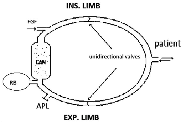 Anesthesia circle breathing system diagram showing the CO2 absorber, unidirectional valves, reservoir bag, APL valve, and Y-piece connector