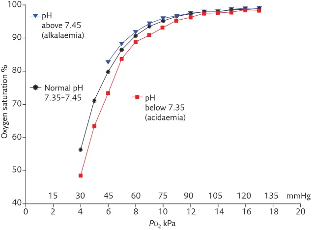 Hemoglobin dissociation curve showing the right shift caused by the Bohr effect