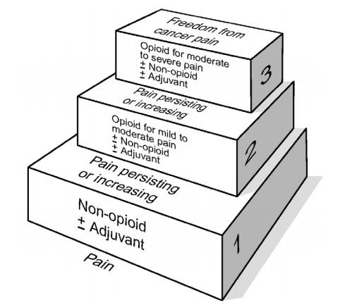 WHO three-step analgesic ladder for cancer pain management showing stepwise progression from non-opioids to weak opioids to strong opioids with adjuvants