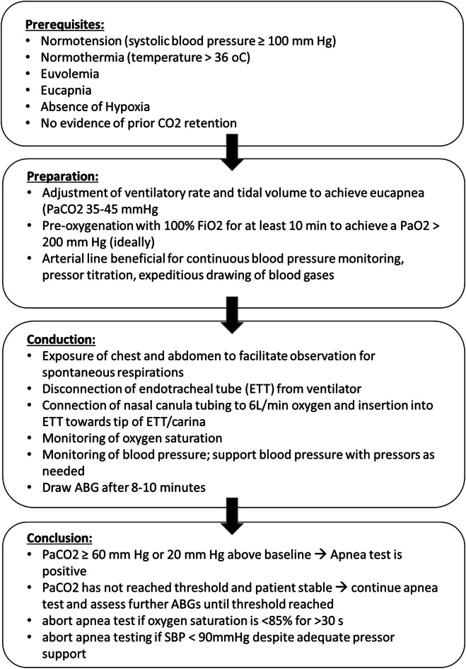 Systematic review flowchart for apnea testing protocols in brain death determination