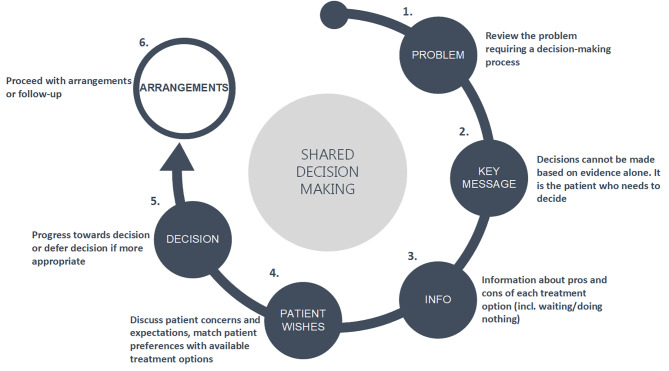 Detailed shared decision-making framework showing the three-step process of acknowledging the decision, describing options, and exploring patient values