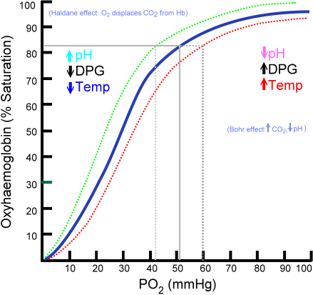 Oxygen-hemoglobin dissociation curve showing sigmoidal shape with right and left shift factors