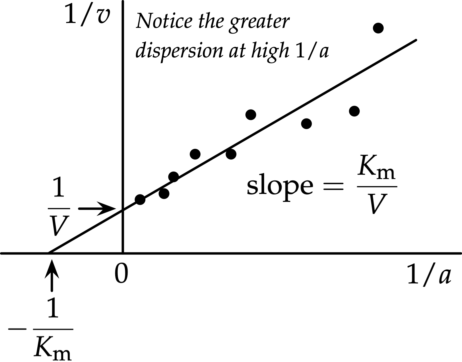 Lineweaver-Burk double-reciprocal plot showing competitive, uncompetitive, and noncompetitive inhibition patterns