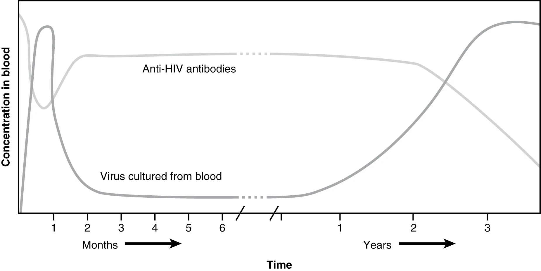 Graph showing HIV disease progression with CD4 count decline and viral load changes over time