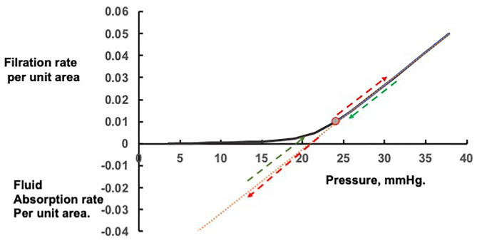 Starling forces governing capillary fluid exchange and edema formation