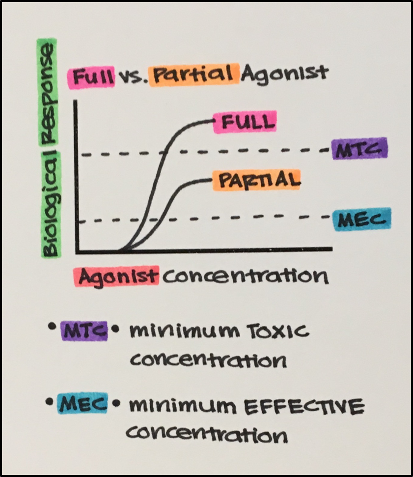 Comparison of full agonist, partial agonist, antagonist, and inverse agonist dose-response curves
