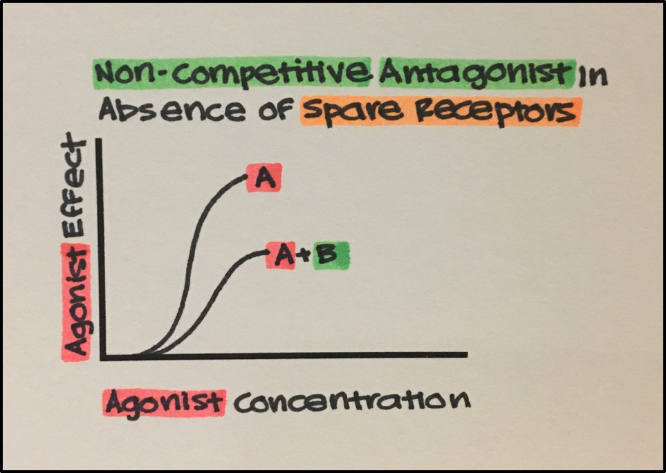 Dose-response curves showing decreased Emax with noncompetitive antagonist