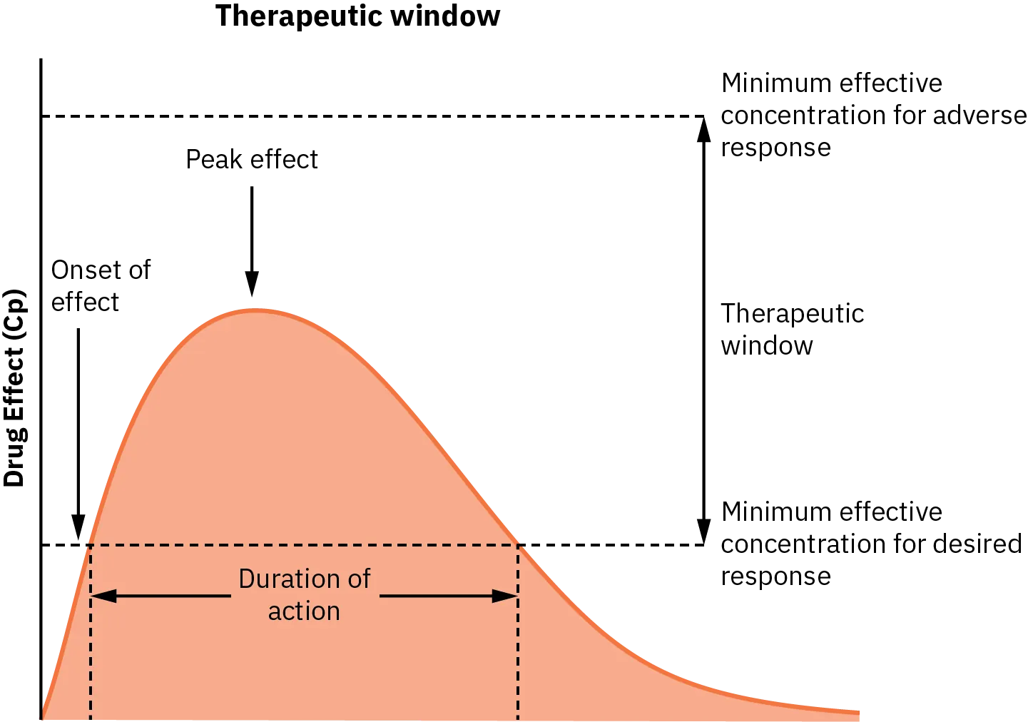 Graph showing therapeutic window between minimum effective concentration and toxic concentration over time