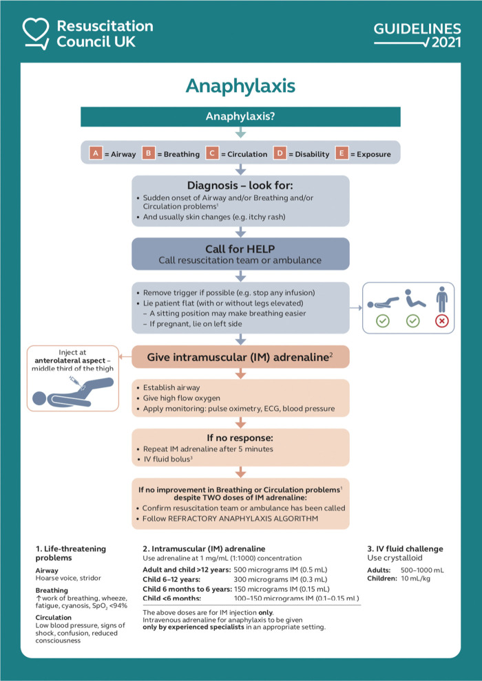 Algorithm for initial treatment of anaphylaxis showing epinephrine IM as first-line therapy with adjunctive measures