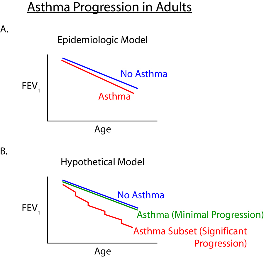 Diagram showing asthma progression from acute inflammation to chronic airway remodeling with subepithelial fibrosis and smooth muscle hypertrophy