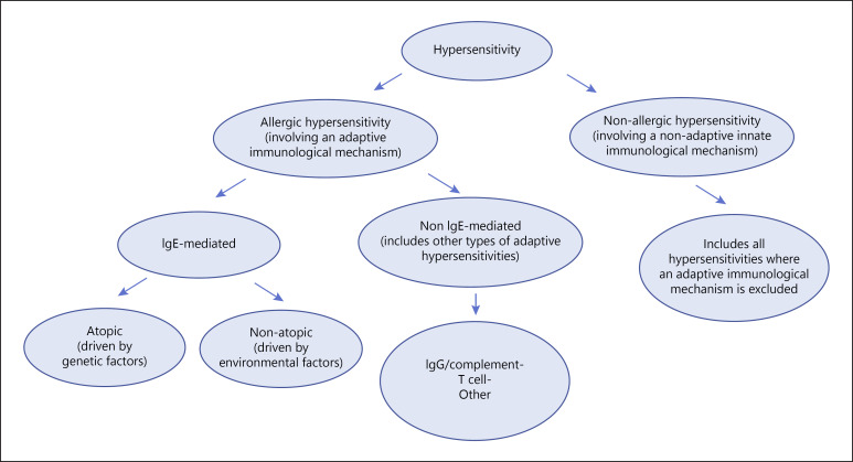 Classification diagram of the four types of hypersensitivity reactions (Gell-Coombs): Type I IgE-mediated, Type II cytotoxic, Type III immune complex, Type IV delayed T-cell mediated
