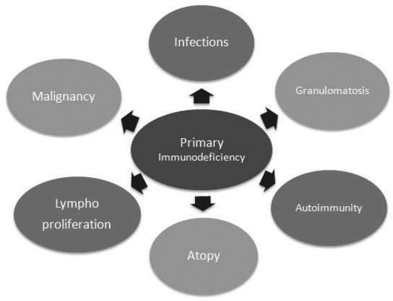 Overview diagram of primary immunodeficiency diseases showing warning signs and clinical features