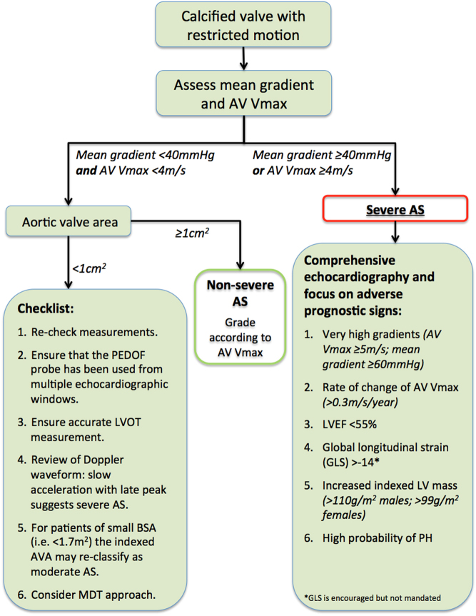 Decision-aid flowchart for assessing aortic stenosis severity using echocardiographic parameters