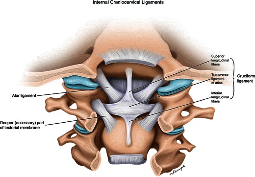 CT cervical spine showing various types of cervical fractures in sagittal and axial views