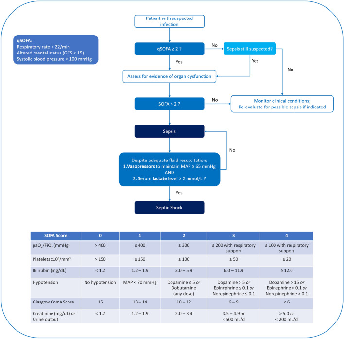 Clinical criteria for sepsis and septic shock definitions showing SOFA score, qSOFA, and diagnostic criteria