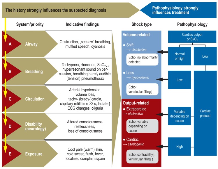Pathophysiology of shock showing hemodynamic parameters and compensatory mechanisms across shock types