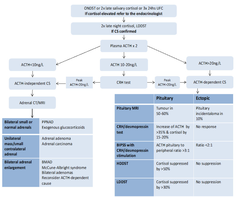 Diagnostic algorithm for Cushing syndrome showing screening tests, ACTH measurement, and localization procedures