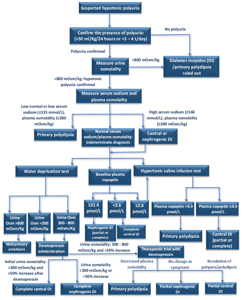Diagnostic algorithm for polyuria-polydipsia syndromes differentiating central DI, nephrogenic DI, and primary polydipsia