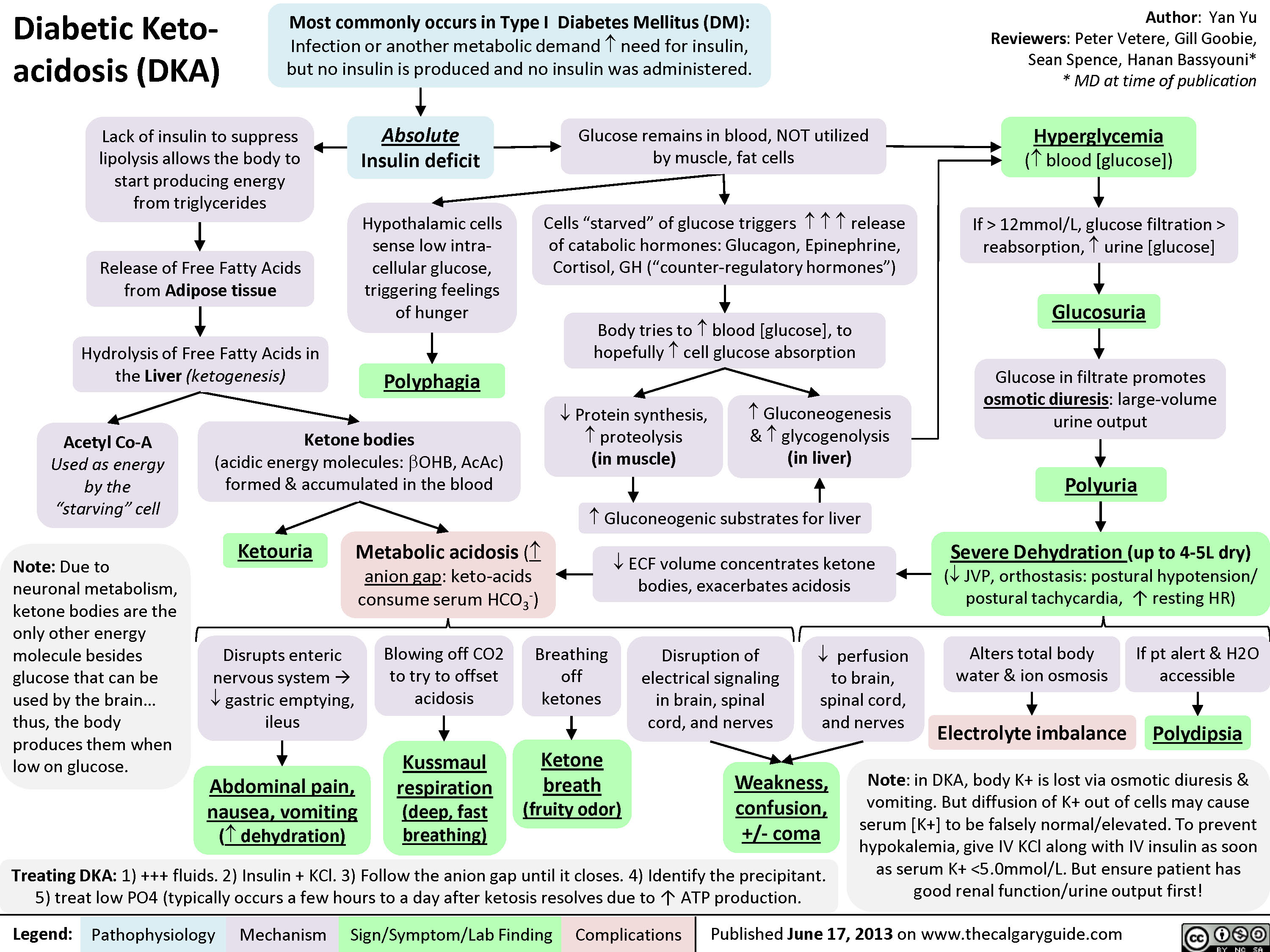 Comprehensive pathophysiology flowchart of diabetic ketoacidosis showing insulin deficiency leading to hyperglycemia, ketogenesis, and metabolic acidosis