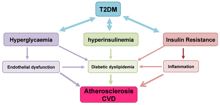Diagram showing the interplay of biological, cardiovascular, and metabolic risk factors in chronic disease