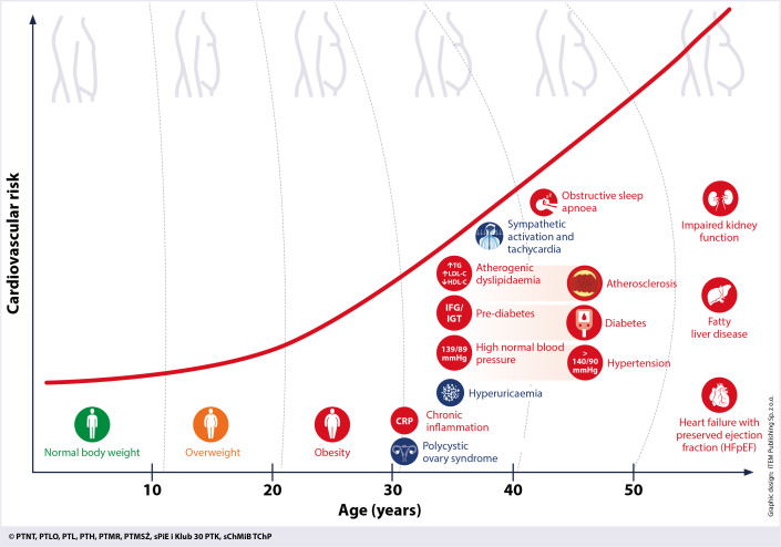 Diagram showing the progression from obesity through metabolic syndrome components to increasing cardiovascular risk