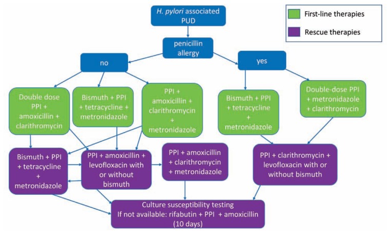 Flowchart of H. pylori treatment regimens including bismuth quadruple therapy, concomitant therapy, and alternative regimens